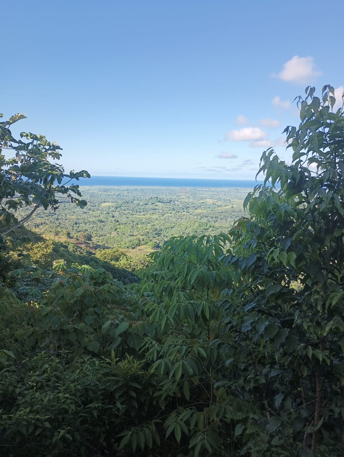 Miches Hills — Panoramic Sea View