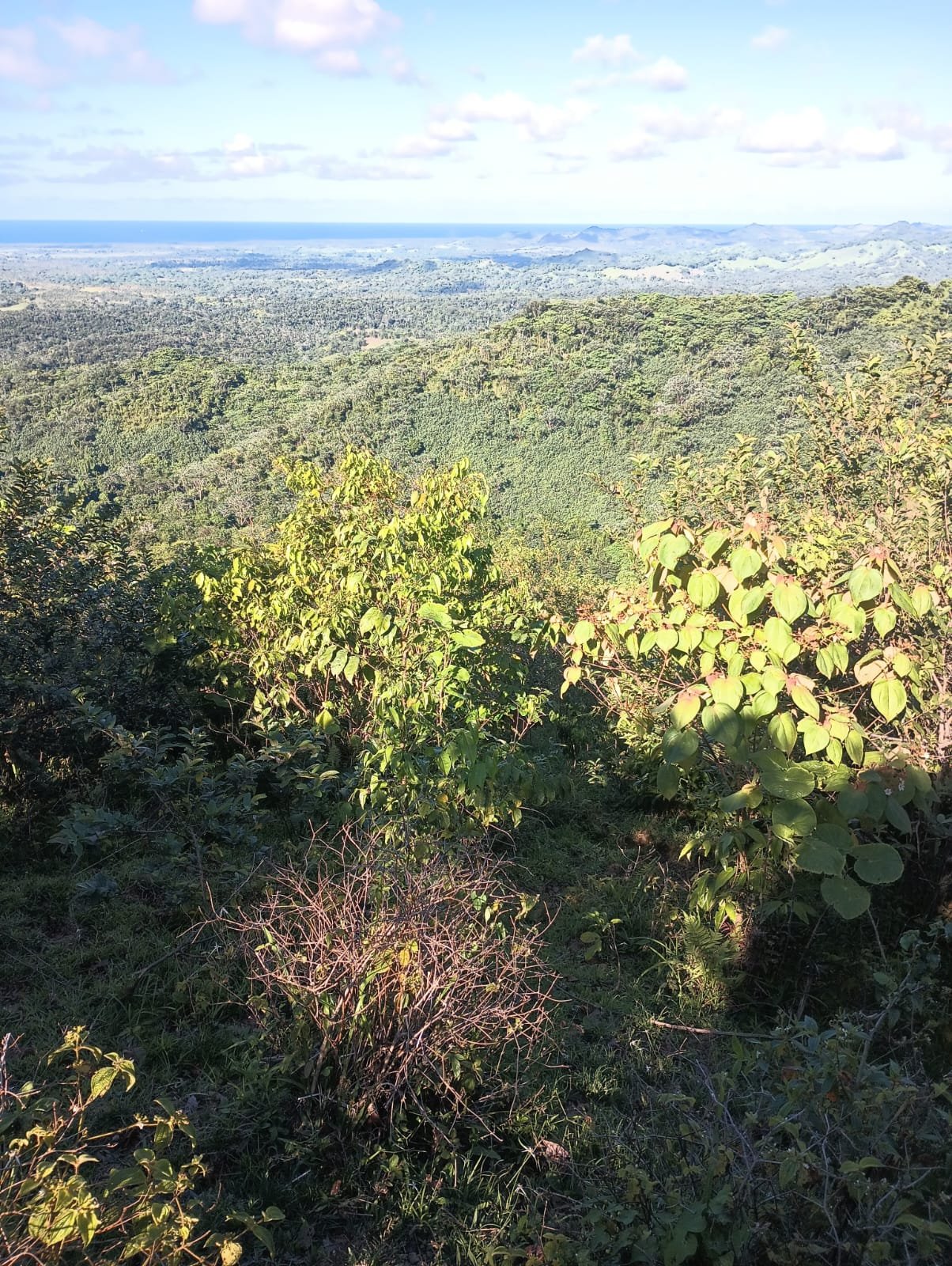 Miches Hills — Elevated View